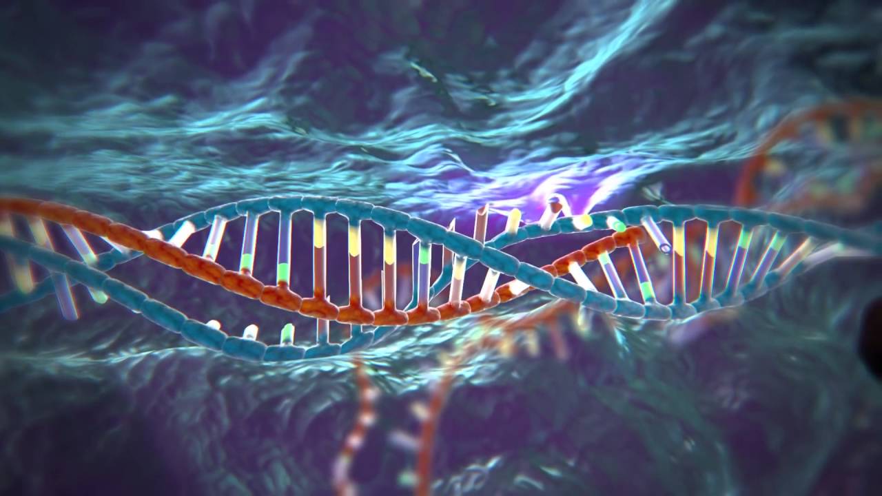 CRISPR is officially winning at science, another reason we all love egentic testing
