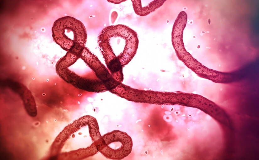 Blood test could be used to predict Ebola deaths