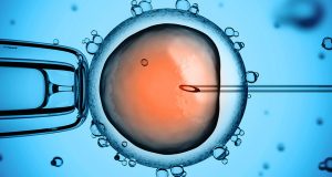 The use of CRISPR technology on trials involving human embryos is fueling a heated debate