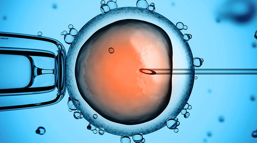 Medical breakthrough or ethical minefield: Should CRISPR be used on human embryos?