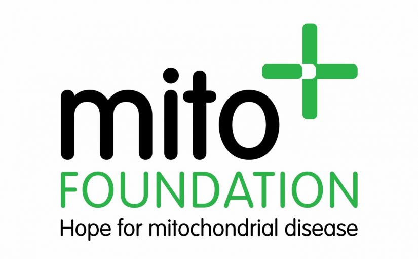 Mito Foundation
