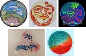 Microbiology agar art competition