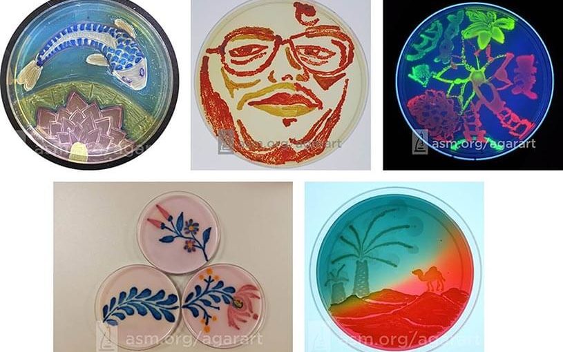 The ‘Agartists’ of microbiology – winning awards with pictures on plates