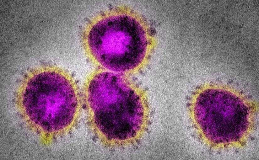 Australia leading the way in coronavirus response