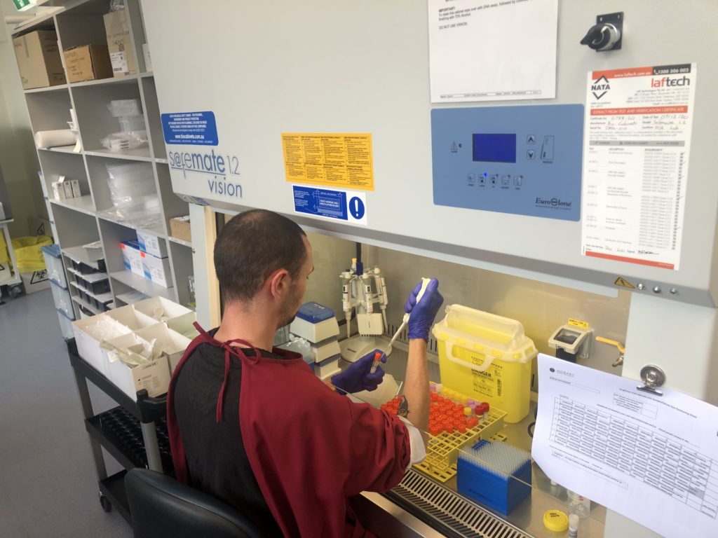 In the molecular lab Medical Scientist, Felix Donnellan shows how the samples are prepared to go onto the instrument for their first step of the PCR process.