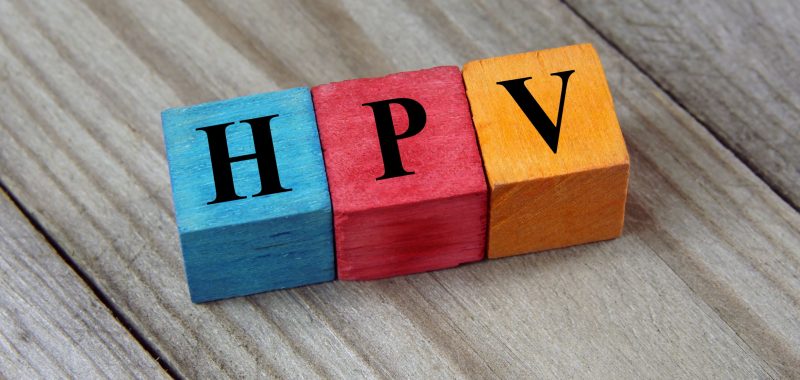 What is the cervical cancer / HPV vaccine?