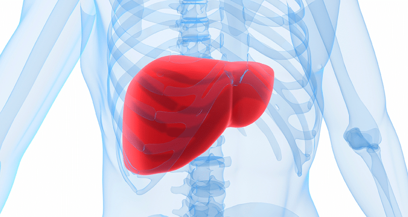 What Is A Liver Function Test 